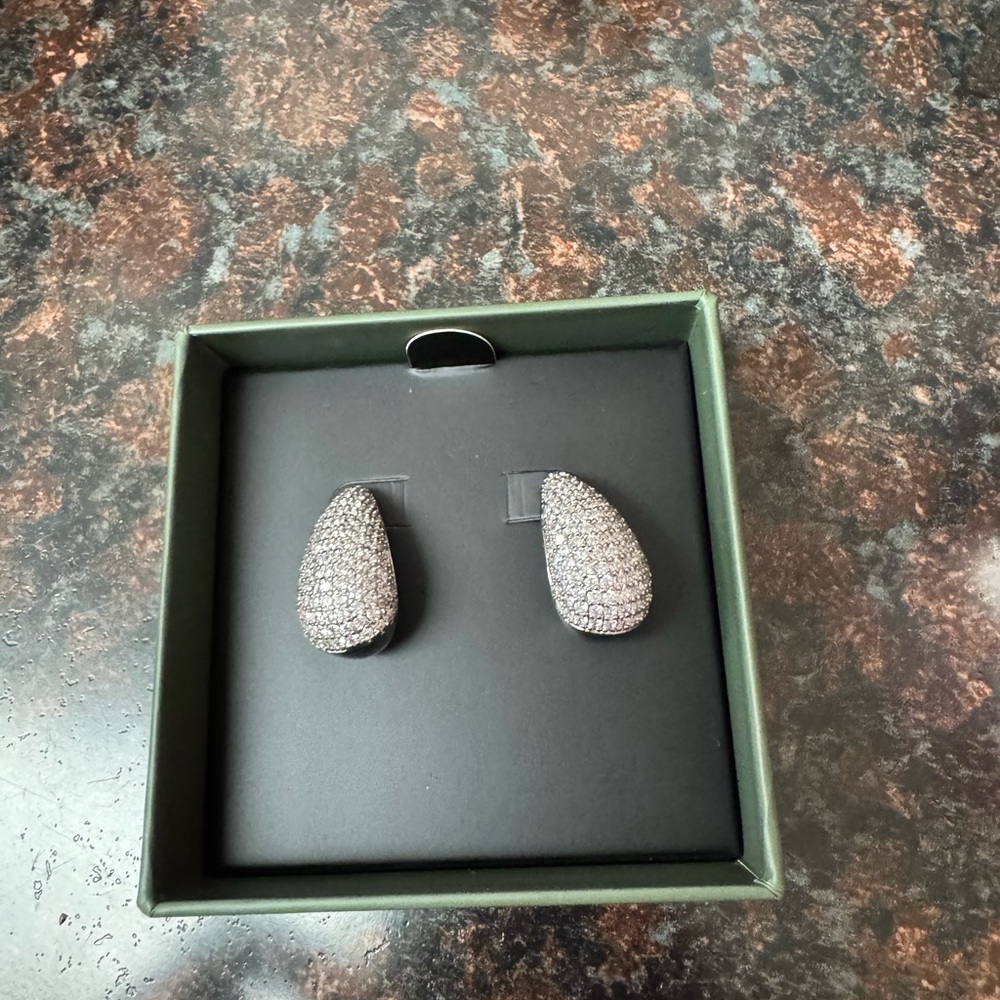 Jewels by Sunaina Elegant Silver Teardrop Earrings